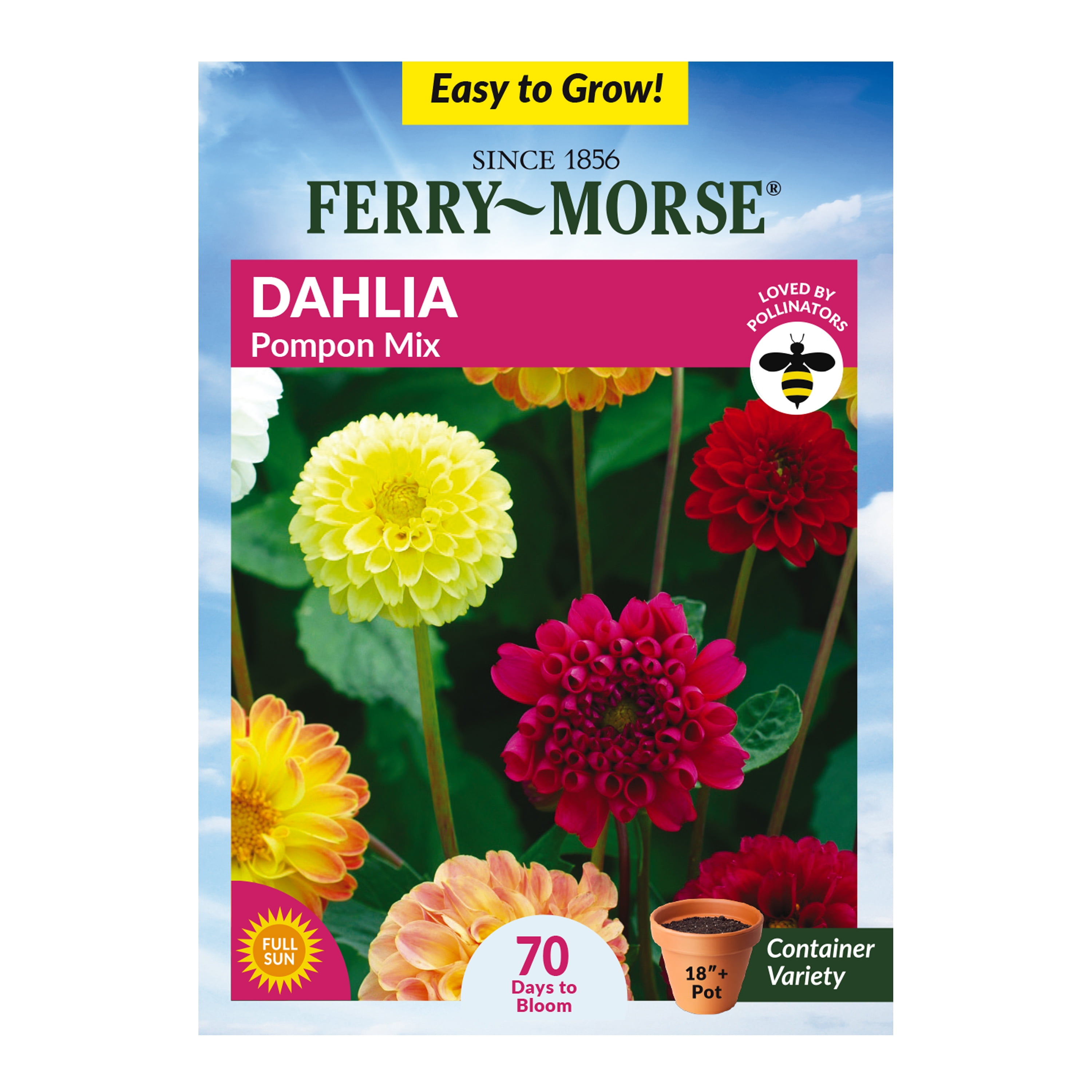 Ferry-Morse 25MG Dahlia Pompon Mix Annual Flower Seeds (1 Pack)- Seed