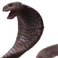 thumbnail image 4 of 2X SimulacióN Modelo de Reptil Serpiente para Cobra Gafas Anfibias Modelo Kingsnake Ordenado Adornos de Juguete, 4 of 4