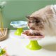 thumbnail image 4 of Cuencos elevados de cerámica for gatos, cuenco elevado de comida for gatos de interior, plato bonito de comida y agua for gatos, 4 of 7