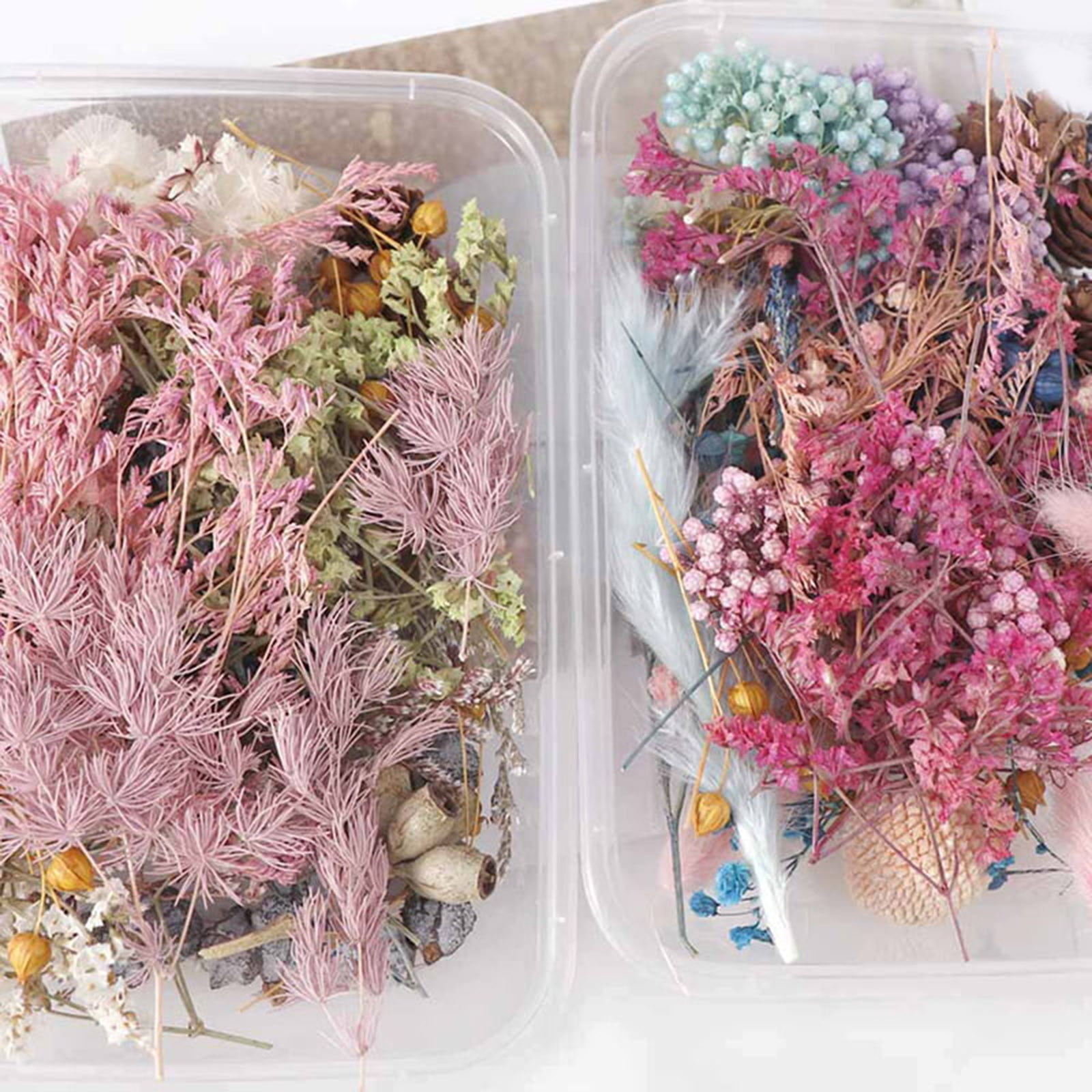 5 Box Dried Flowers,Mixed Colors Dried Flowers,Small Dry Flower for DIY Arts and Crafts Candles,Soap Making,Resin Jewelry Nail Pendant,Greeting Cards,Scrapbooking,Wedding Decor,Random Color 5PCS