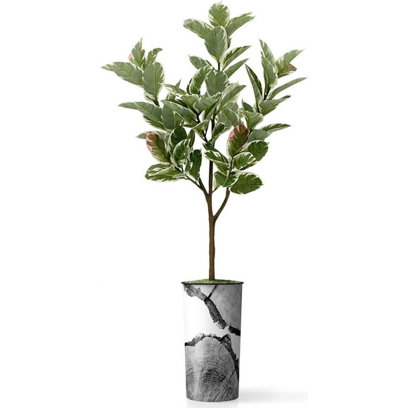 Artificial Tree in Black & White Close Up Planter, Fake Rubber Silk Tree for Indoor and Outdoor Home Decoration - 70" Overall Tall (Plant Plus Tree)