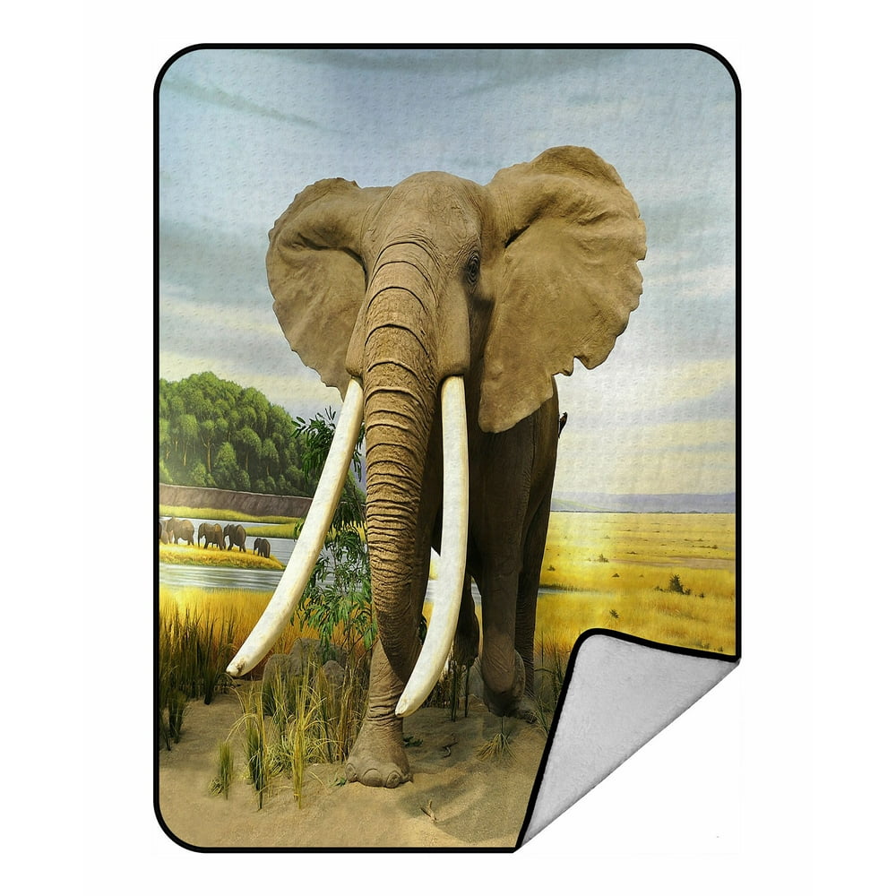 ABPHQTO Stuffed African Elephant Fleece Blanket Fleece Back Throw