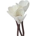 thumbnail image 4 of 30Pcs Premium Brown Wavy Rattan Reeds add Through Grass Flowers Fragrance Diffuser Stick Replacement Refill Sticks, 4 of 6
