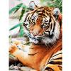 thumbnail image 1 of Cuadros Decorativos 5D DIY Diamante Pintura Tigre León Cuadrado Completo Diamante Mosaico Pared Sywqhk Nuevos Originales, 1 of 9
