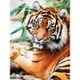 thumbnail image 2 of Cuadros Decorativos 5D DIY Diamante Pintura Tigre León Cuadrado Completo Diamante Mosaico Pared Tmvgtek embutido en tela, 2 of 8