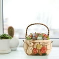 thumbnail image 6 of Creative Rabbit Shaped Breathable Plant Flowerpot Succulent Plant Flowerpot With Handle, 6 of 14
