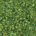 thumbnail image 2 of 40g Miniature Feuille Statique Modèle Chemin de Fer Fée Jardin Disposition Sable Table Décor Vert, 2 of 5