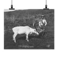 thumbnail image 2 of Print: Eskimo And Captured Reindeer, circa 1900, 2 of 4
