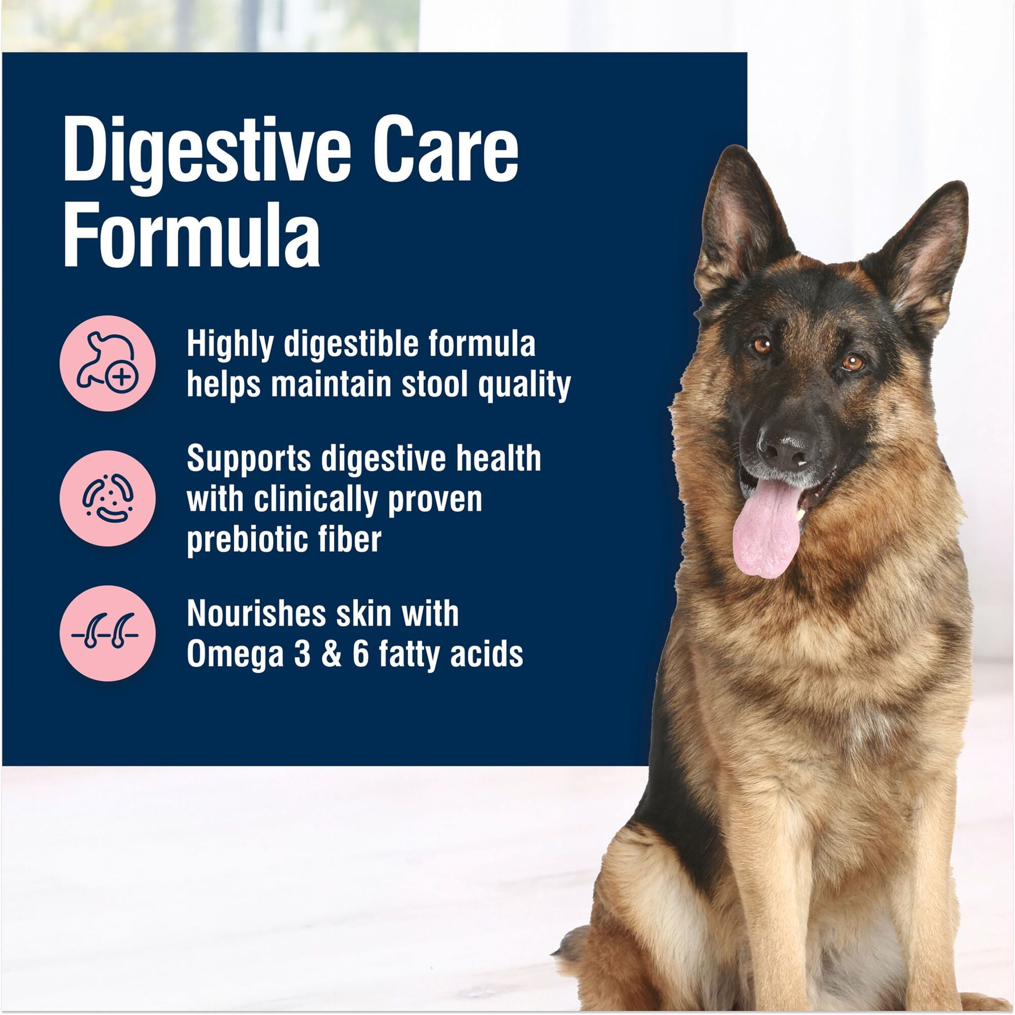 (12 pack) Blue Buffalo True Solutions Digestive Care Wet Dog Food, 12.5-oz. Can