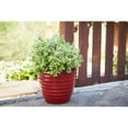 thumbnail image 5 of Southern Patio  Beehive Planter Red 14" Dia., 5 of 5