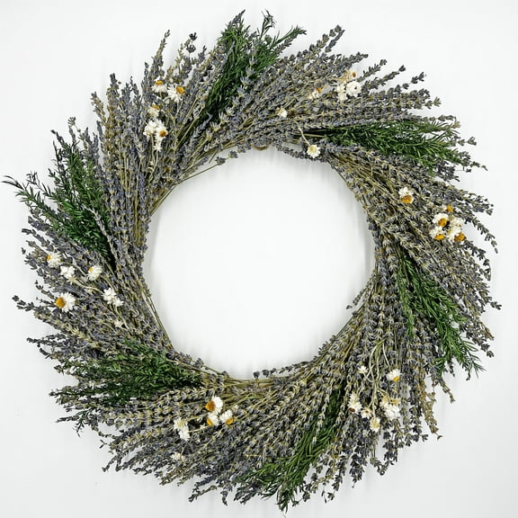 Bergamo Art Preserved Decorative Real Lavender Wreaths in Purple