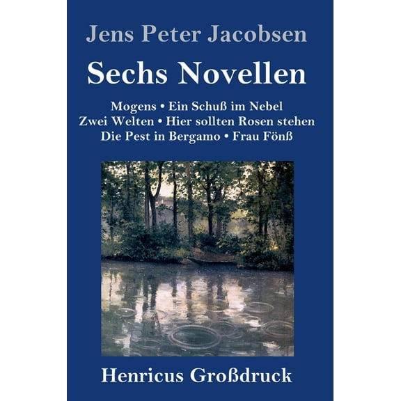Sechs Novellen (Großdruck) (Hardcover)