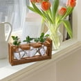 thumbnail image 4 of Terrario con soporte de madera para plantas, jarrón de vidrio con forma de bulbo, de metal, giratorio, retro, para hidroponía, hogar, jardín, oficina, decoración (jarrón de 3 bulbos), 4 of 7