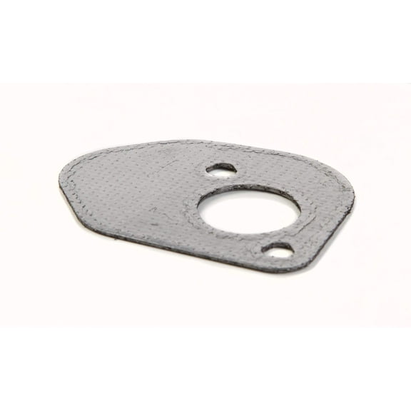 Briggs & Stratton Exhaust Gasket | 794818