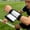 Black-L/BKL, variant on Sports Wrist Coach Playbook Wristband Football Baseball Tactical Card Holder Adjustable Sweat Resistant Training Wrist Guard for Coaches Quarterbacks Referees Football Card Holder Sweat Resistant