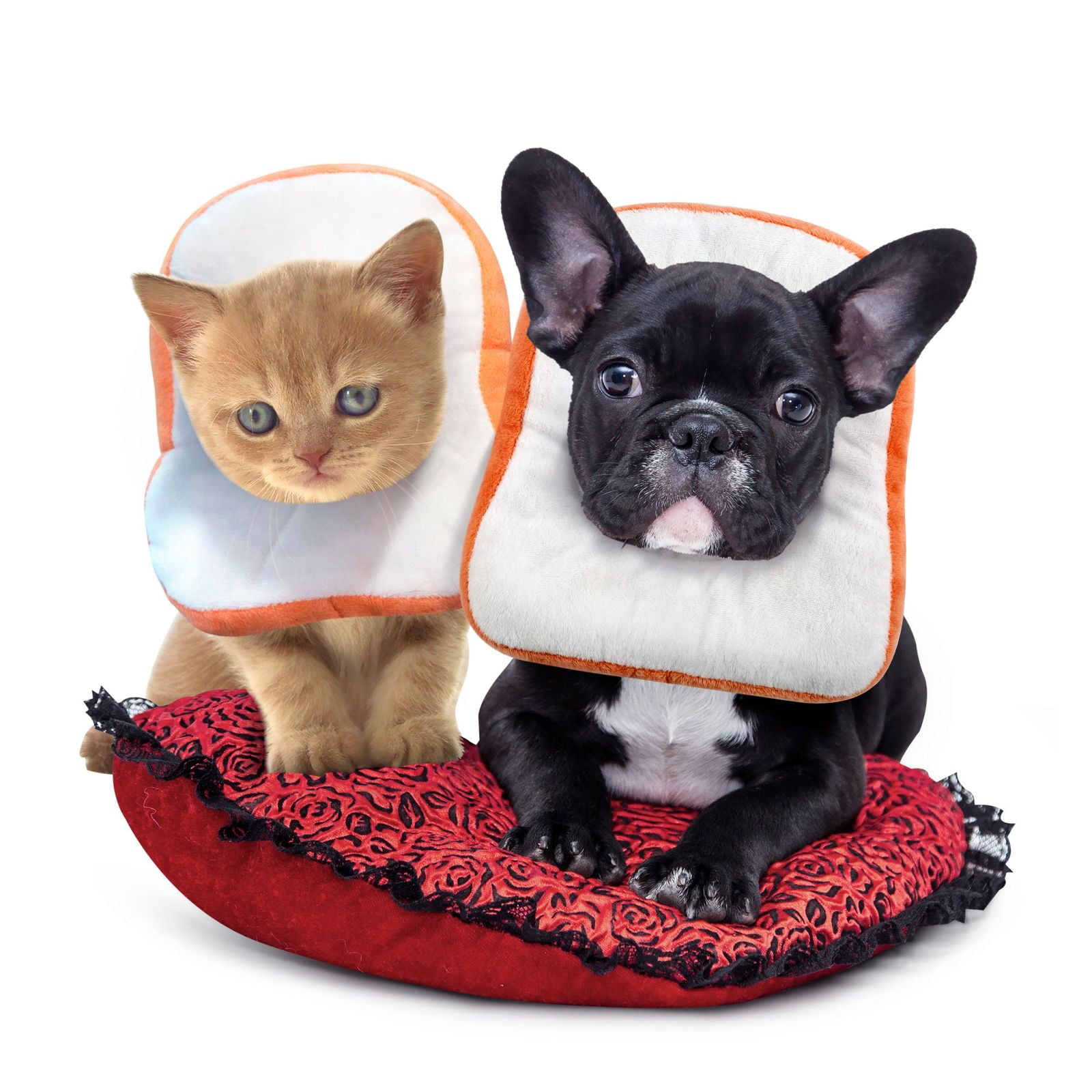 Creation Core Protective Collar for Cats and Dogs Comfy Cone Soft Pet Recovery Collar Anti-Bite Lick Wound Healing 