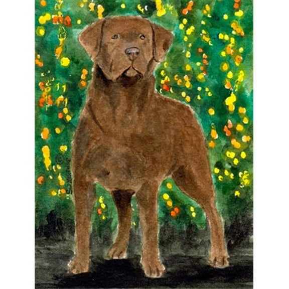 11 x 15 In. Chesapeake Bay Retriever Flag, Garden Size