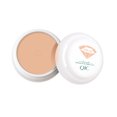 thumbnail image 2 of PVCS Concealer Dark Circles And Acne Marks Waterproof Anti-perspiration Moisturizing Foundation, 2 of 2