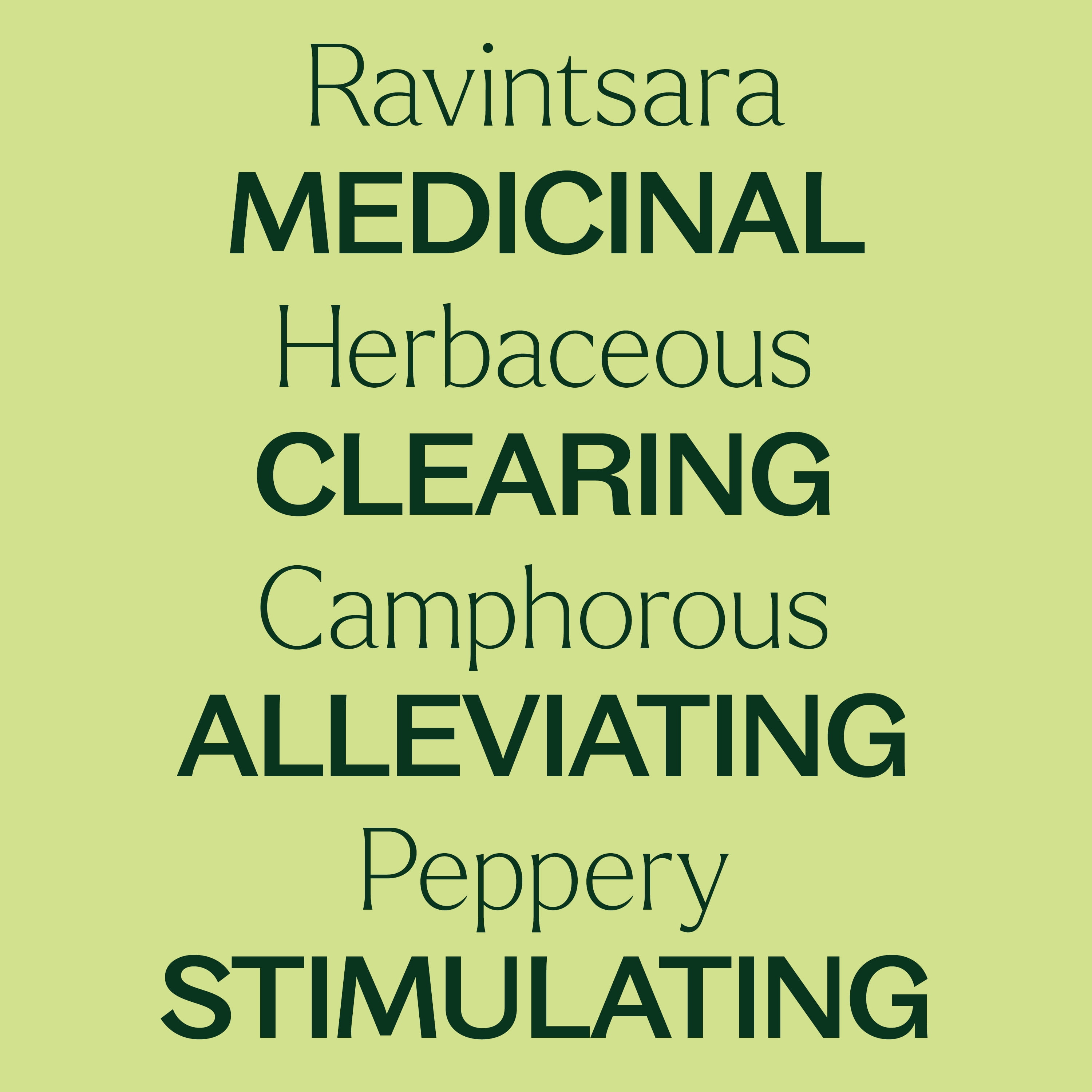 Plant Therapy Ravintsara Essential Oil 30 mL (1 oz) 100% Pure