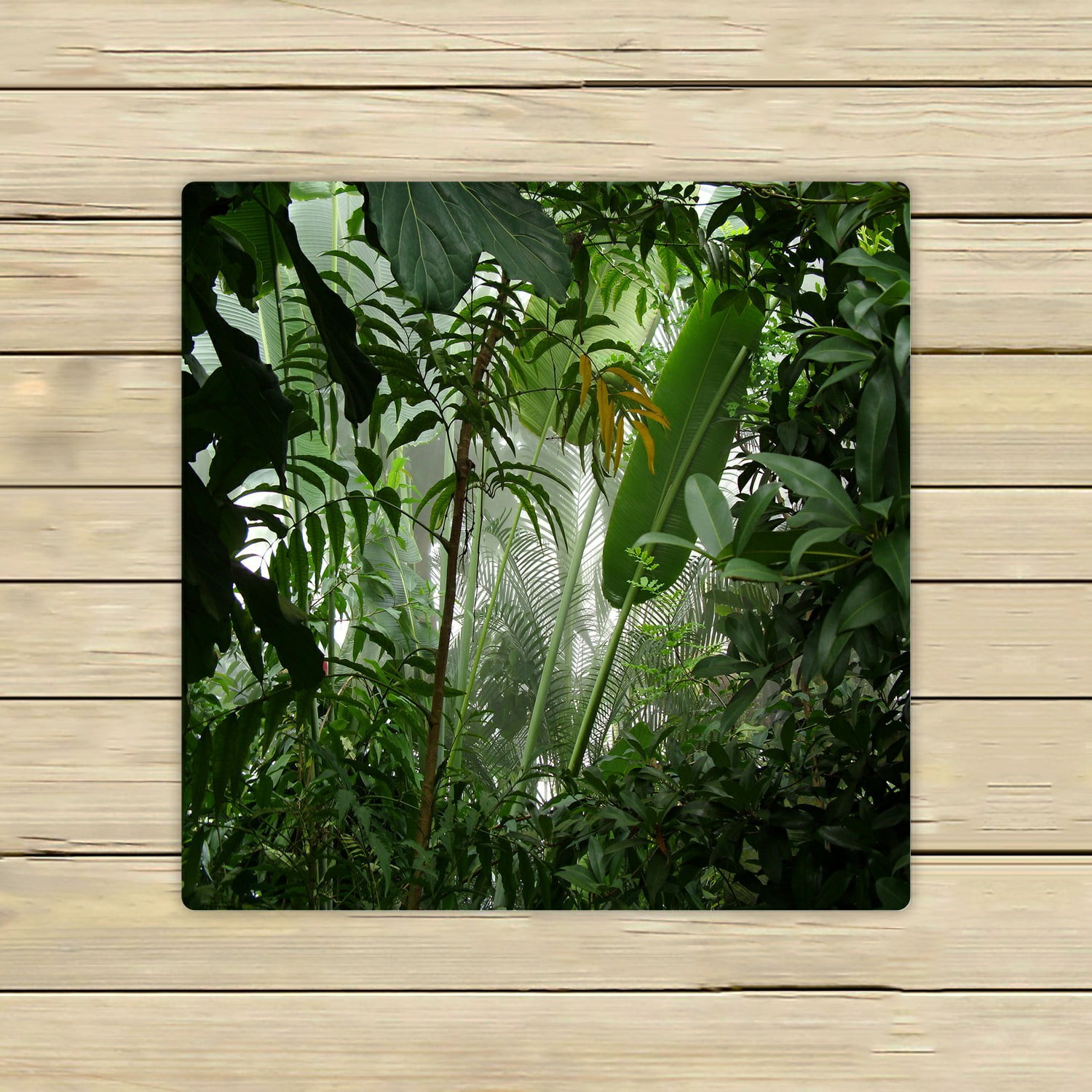 ECZJNT Misty jungle rainforest scene Beach Bath Towels Shower Towel For