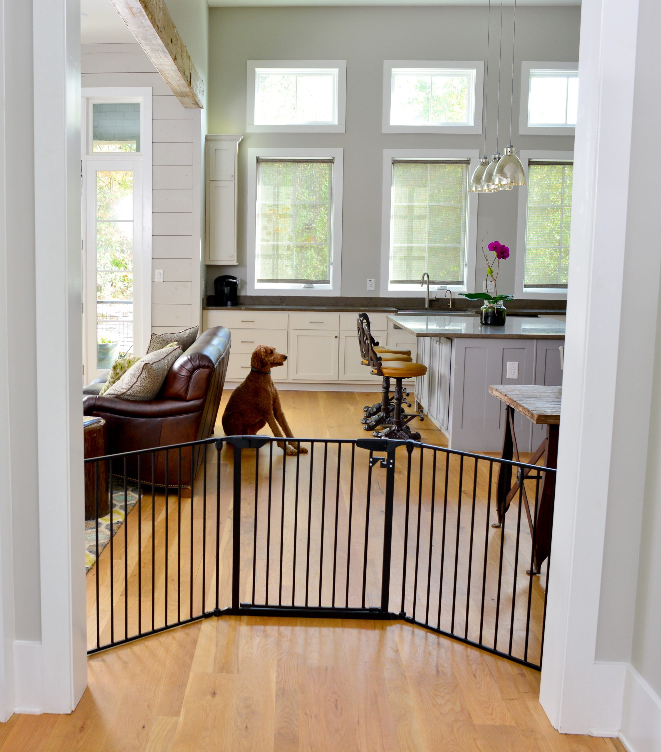 Cardinal Gates XpandaGate Child & Pet Safety Gate - Black