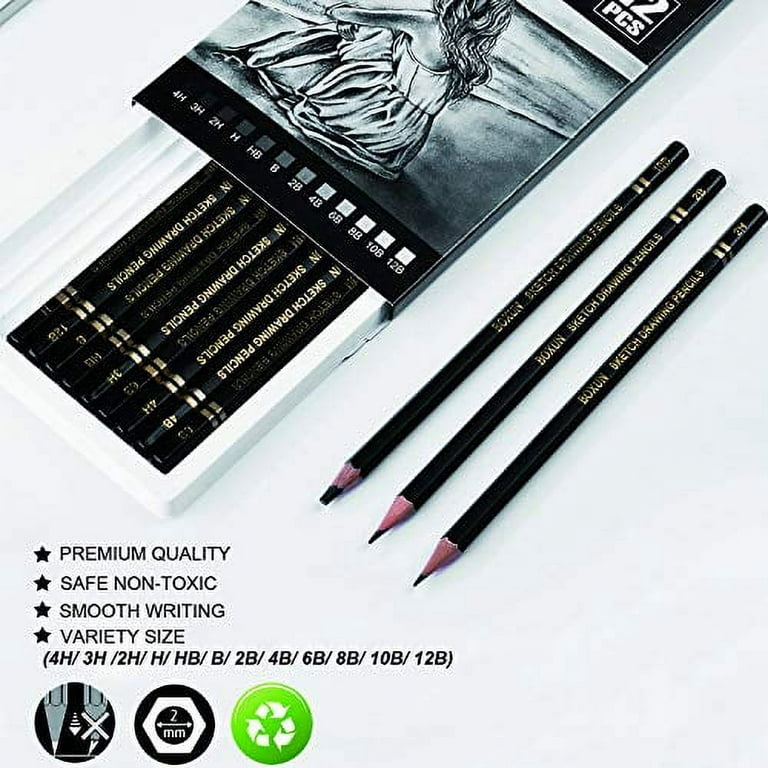 Artist Sketching Pencils Set - Professional 12 Pieces Drawing Pencils 12B,  10B, 8B, 6B, 4B, 2B, B, HB, H, 2H, 3H, 4H Graphite Shading Pencils for  Beginners and Students 