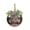 🍒 Multicolor_Base#3933, variant on Wooden Welcome Wreath Round Bow Door Sign 12in – Multicolor Front Door Hanging Decor, Indoor Outdoor Wall Decoration, Rustic Home Party Ornament