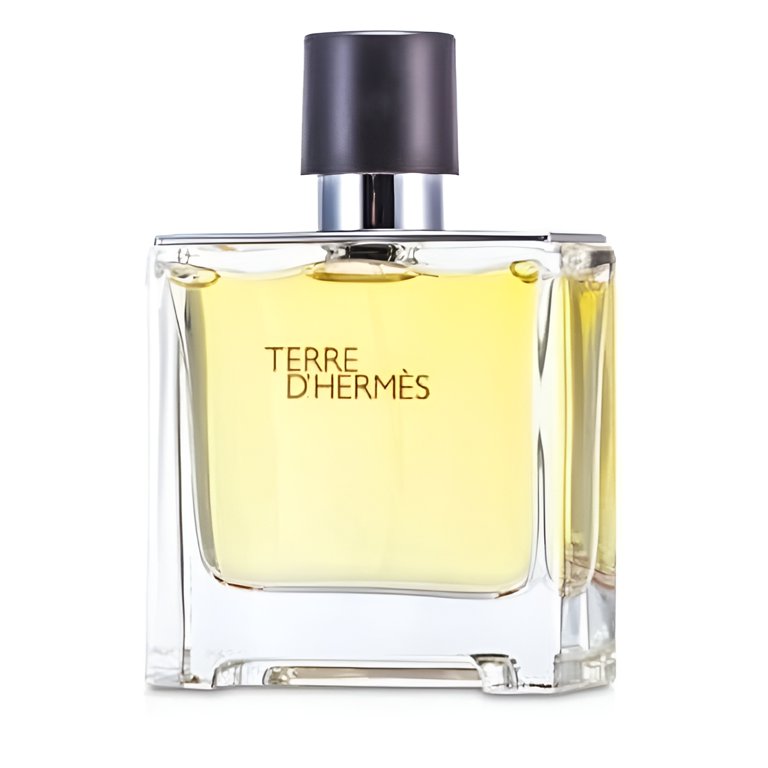 TERRE D’HERMES Pure Parfum 75ml Terre d'Hermes Pure Parfum | ScentsGift