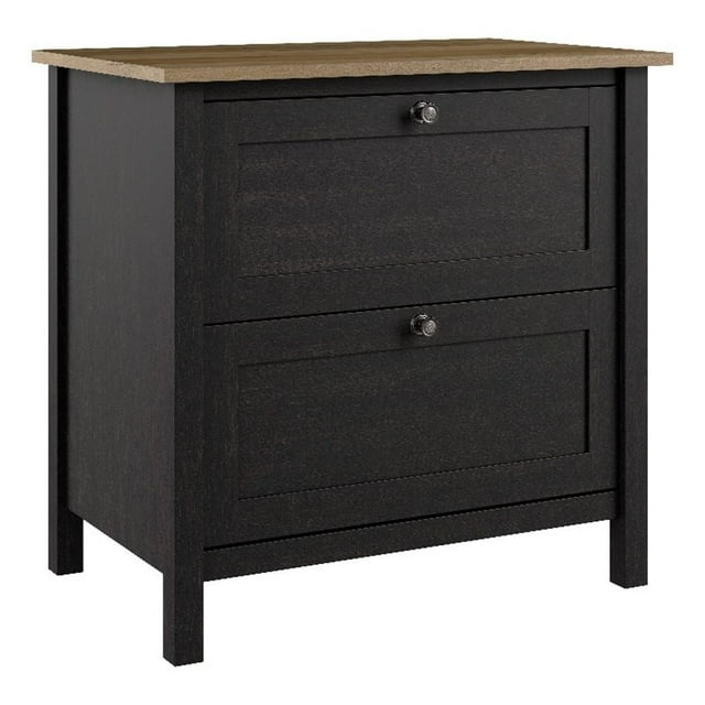 Mayfield 2 Drawer Lateral File Cabinet in Vintage Black and Reclaimed Pine