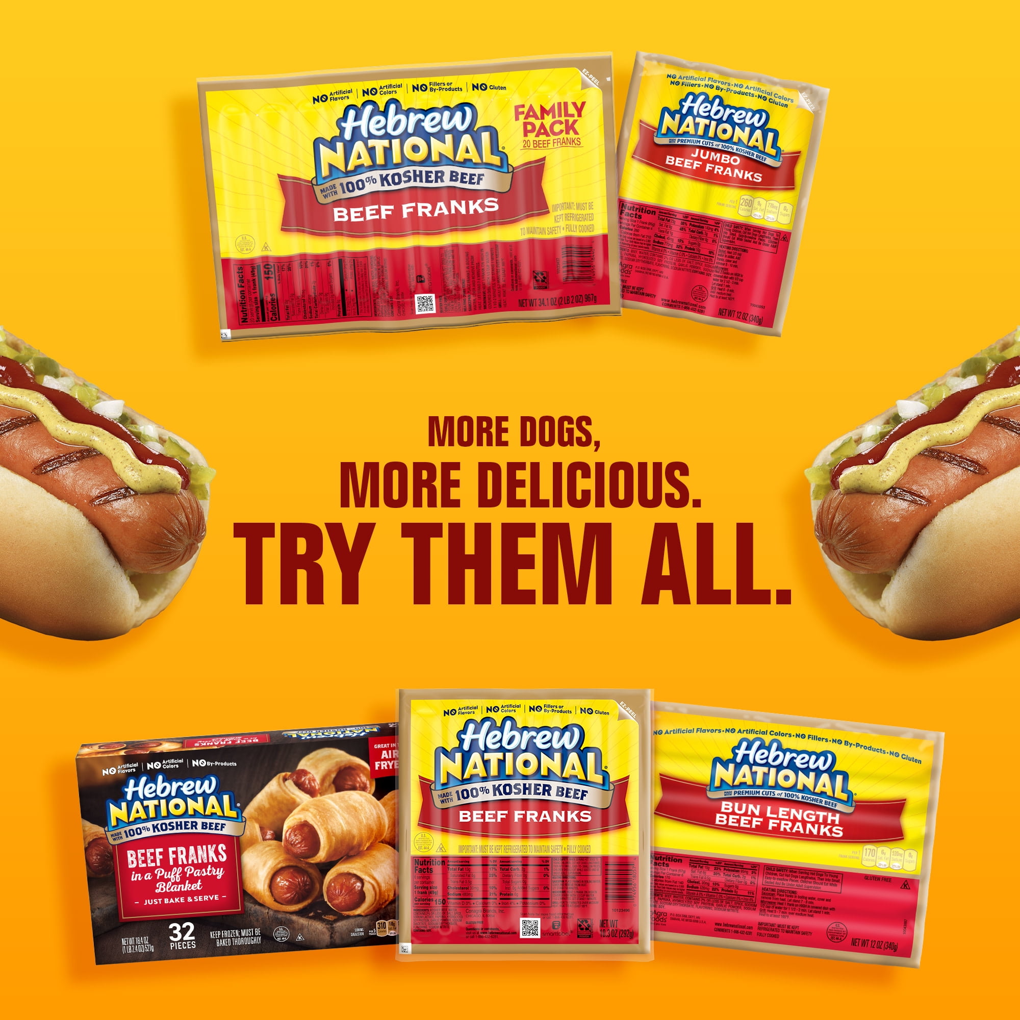 Hebrew National 100% Kosher Beef Franks, Hot Dogs, 10.3 oz 6 Count