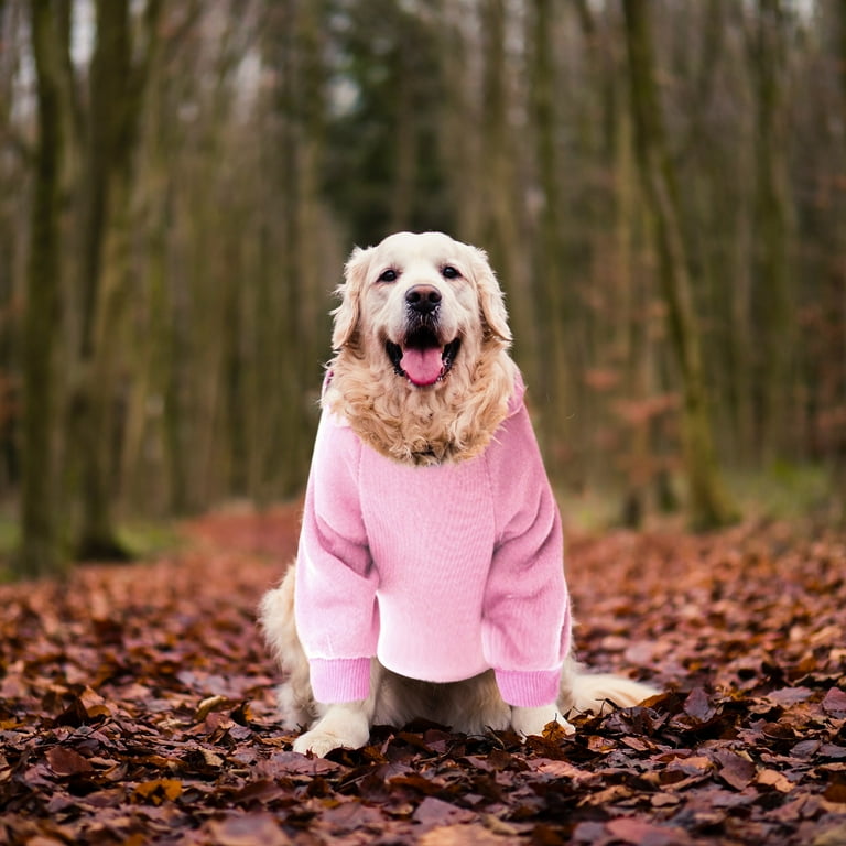 Pink ladies top dog jacket