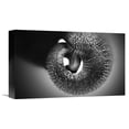 thumbnail image 1 of Global Gallery Antje Wenner-Braun,'Trunk' Stretched Canvas Artwork, 1 of 3