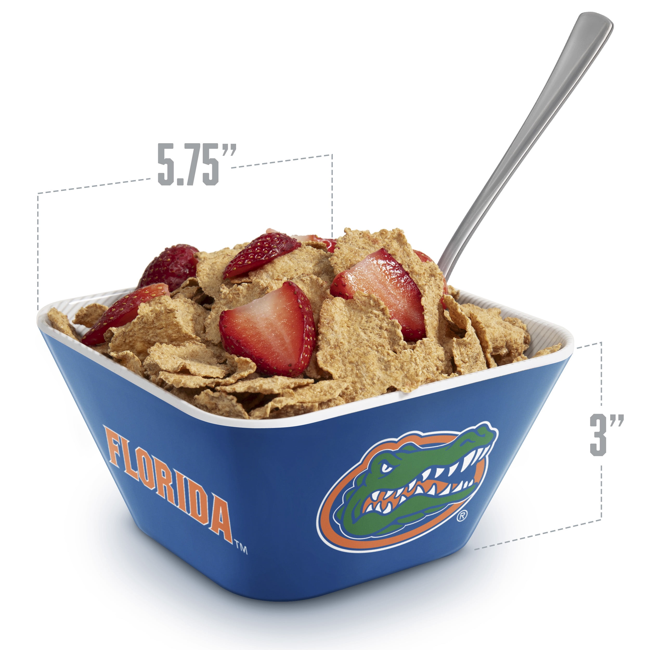 YouTheFan NCAA Florida Gators Small Snack Bowl