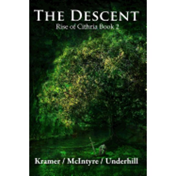 Pre-Owned The Descent (Rise of Cithria) (Paperback) 1492378755 9781492378754