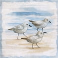thumbnail image 2 of Nan 12x12 Black Ornate Wood Framed with Double Matting Museum Art Print Titled - Shore Birds I, 2 of 4