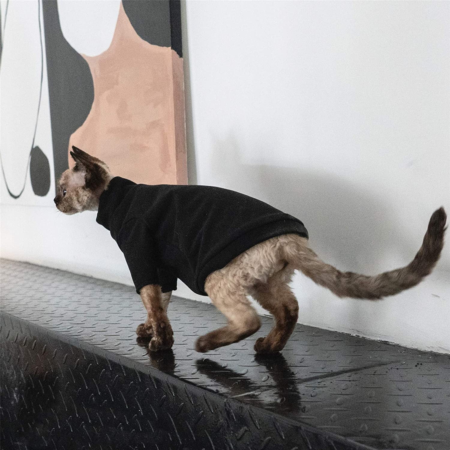 Chemise col chat hotsell