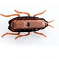 thumbnail image 6 of Interactive Electronic Cockroach Toy for Dogs & Cats - Fun Intelligence Activity & Training Pet Supplies, 6 of 6