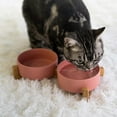 thumbnail image 2 of Spunkyjunky Cuenco De Cerámica Para Perros Y Gatos Con Soporte De Madera, Juego De Agua Y Comida Ponderada Con Esmalte Mate Antideslizante Para Gatos Y Perros Pequeños, 13,5 Onzas, 2 of 5