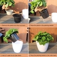 thumbnail image 5 of Cheer US 6Pcs/Set Self Watering Plastic Planter,Plastic Flower Plant Pot with Inner Pot,Self Watering Planter White Flower Pot for Herbs,Flowers,All House Plants,Succulents, 5 of 7