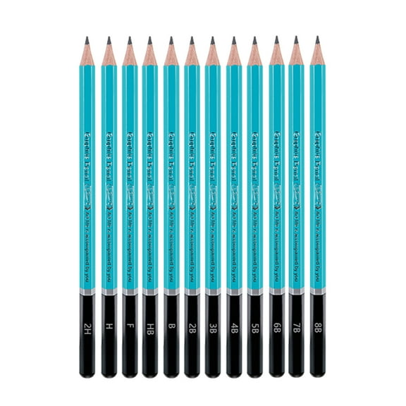 12PCS Professional Sketch Pencils For Artists Beginner Student Drawing Pencil For Sketching Drawing And Shading