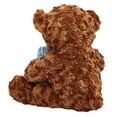 thumbnail image 5 of Blue Panda Teddy Bear Plush with Get Well Pillow - Get Well Gift for Women, Men & Teens - Plush Stuffed Animals for Kids & Hospital Visitors - Dark Brown - 14 in, 5 of 6