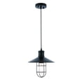 thumbnail image 1 of Living District LD7505BK Flaneur 1 Light Black Ceiling Pendant, 1 of 4