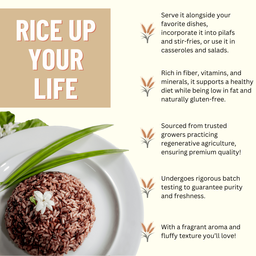 Rice, Jasmine Brown  25LB BAG, USDA Certified Organic & GMO Free, Sustainable Farming Practices-Mountain High Organics
