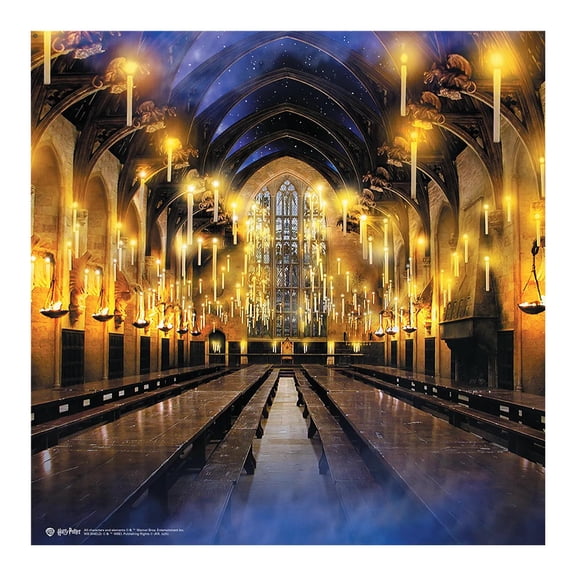 72" x 72" Harry Potter Hogwarts Great Hall Polyester Photo Booth Backdrop