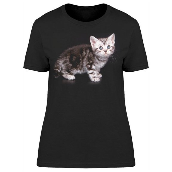 American Shorthair Cat T-Shirt Women -Image by Shutterstock, Female XX-Large