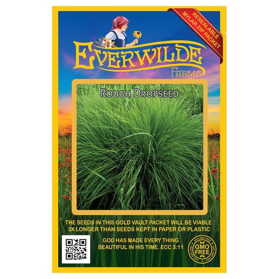 Everwilde Farms - 1000 Rough Dropseed Native Grass Seeds - Gold Vault Jumbo Bulk Seed Packet