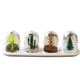 thumbnail image 1 of Juego de almacenamiento de condimentos de 4 piezas con un diseño lindo, perfecto para la organización del hogar y las plantas. Frascos de especias de cocina creativos, 1 of 7