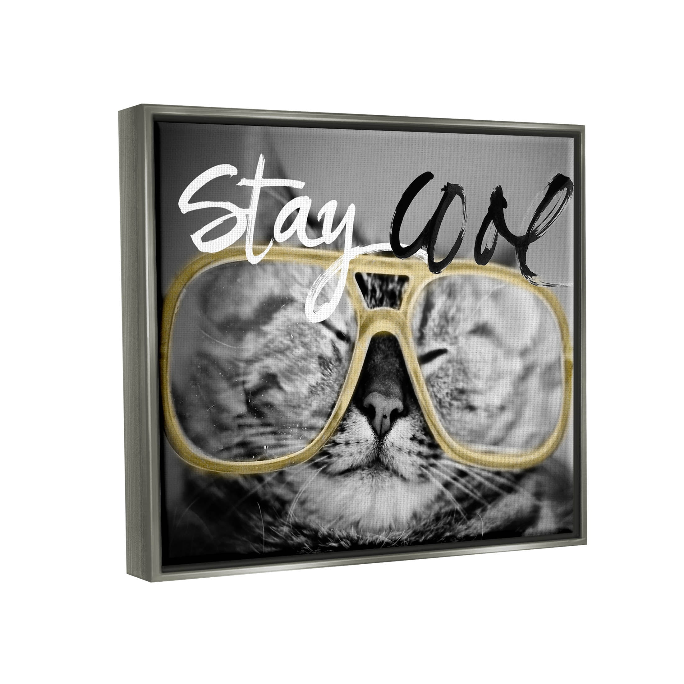 Stupell Industries Stay Cool Cat Glasses Graphic Art Luster Gray Floating Framed Canvas Print Wall Art, Design by Sundance Group