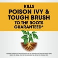 thumbnail image 2 of Roundup Ready-to-Use Poison Ivy Plus Tough Brush Killer Trigger, 1 gal., 2 of 11