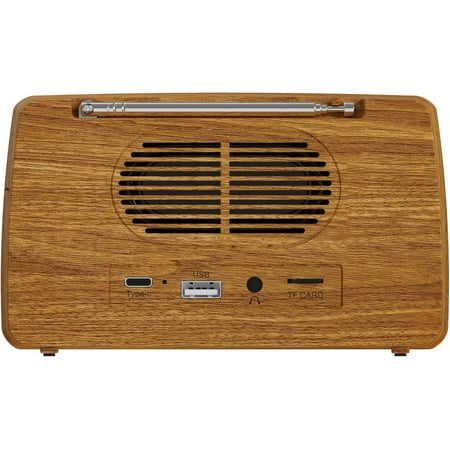 Brown Sinister Speaker - Ghost Hunting Spirit Box Radio | Bluetooth, AM & FM Radio | USB-C Rechargeable | Halloween Gadget | Gothic Home Decor | Spooky Gift